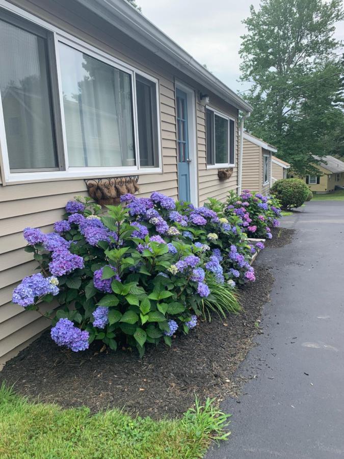 كيتري Northeaster Motel المظهر الخارجي الصورة